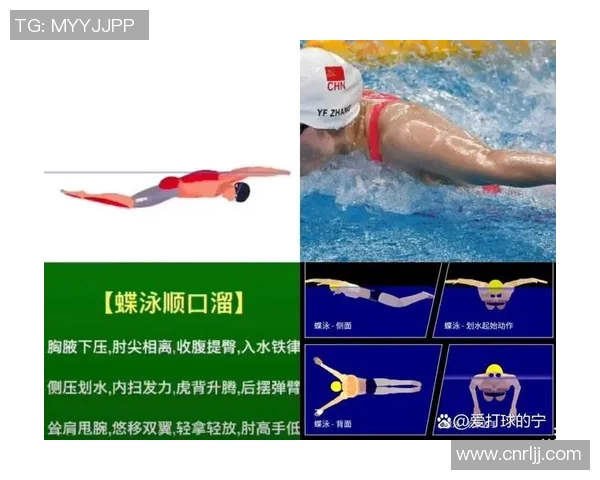 泳姿种类解析与技巧分享：探索自由泳、仰泳、蛙泳、蝶泳的独特魅力